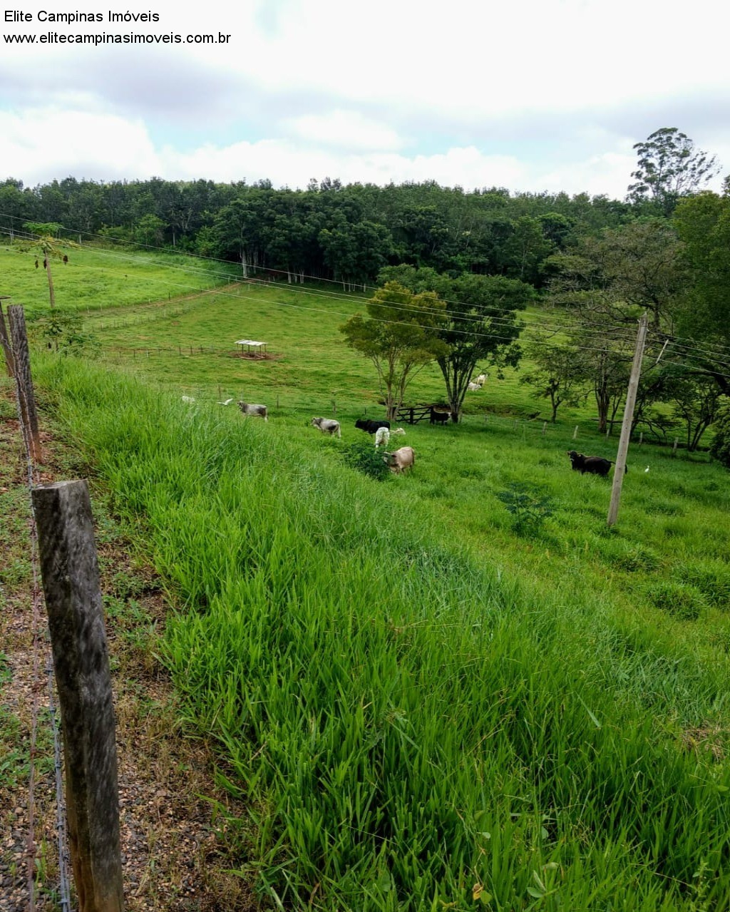 Fazenda à venda com 3 quartos, 10m² - Foto 43