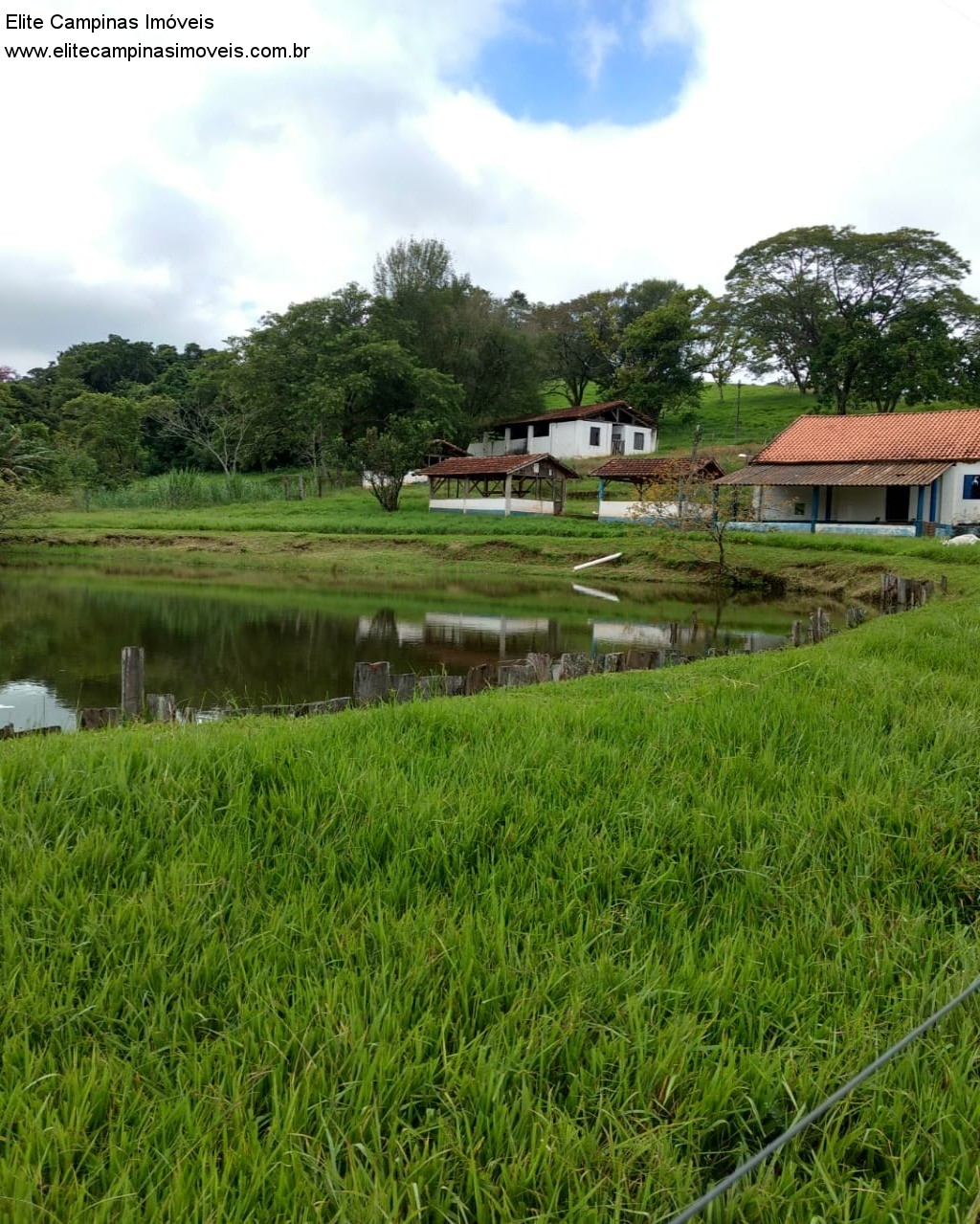 Fazenda à venda com 3 quartos, 10m² - Foto 46