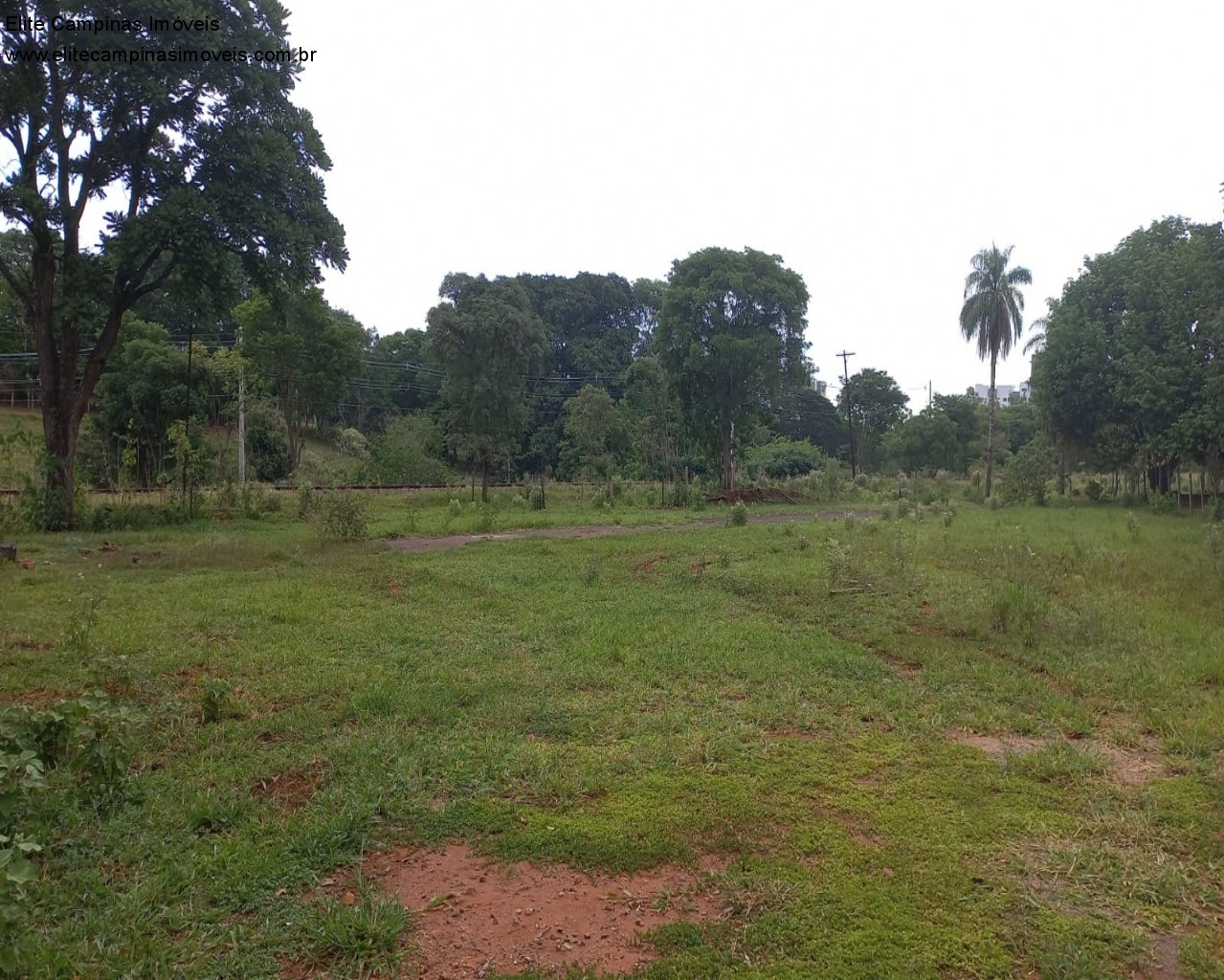 Fazenda à venda, 60000m² - Foto 19