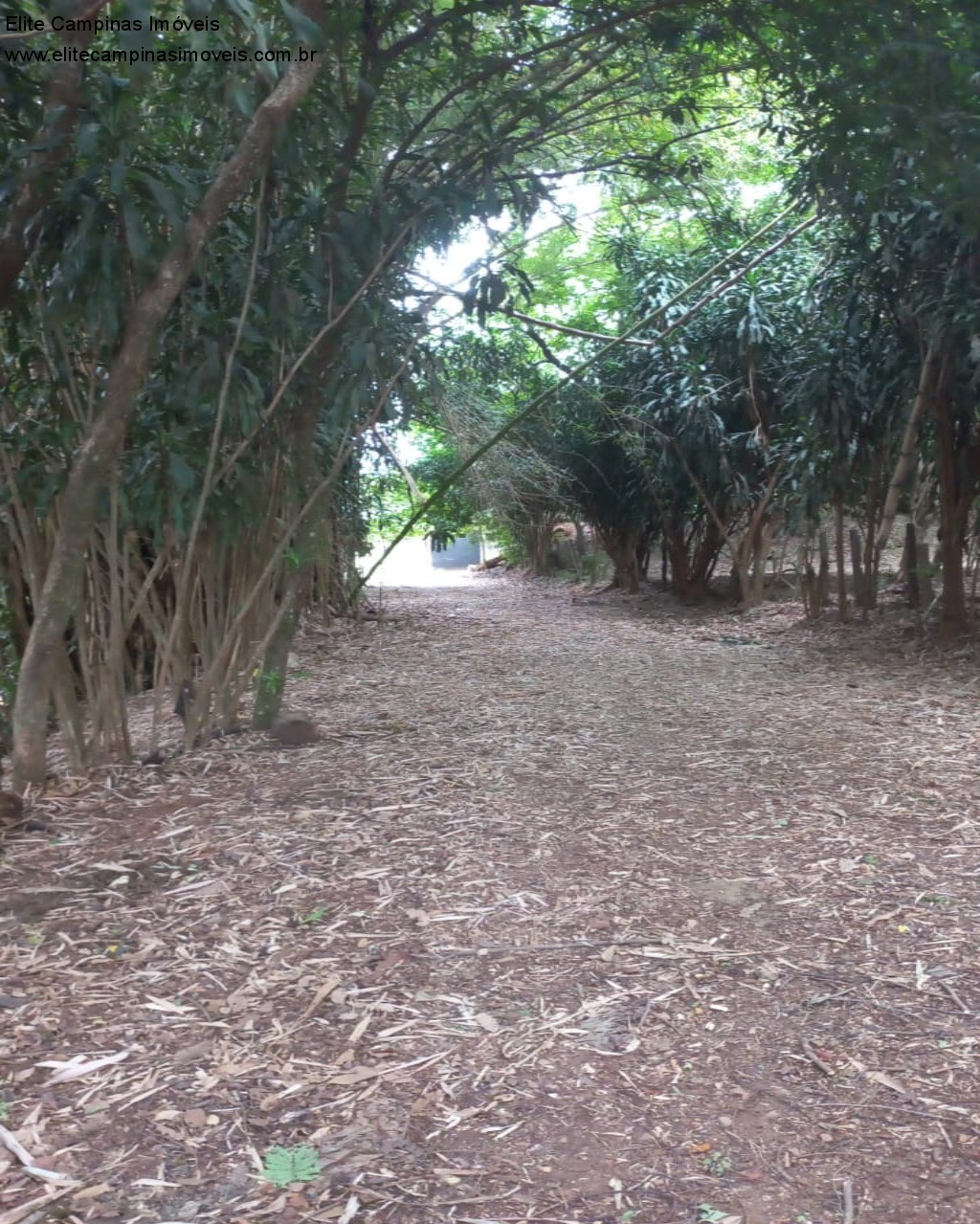 Fazenda à venda, 60000m² - Foto 9