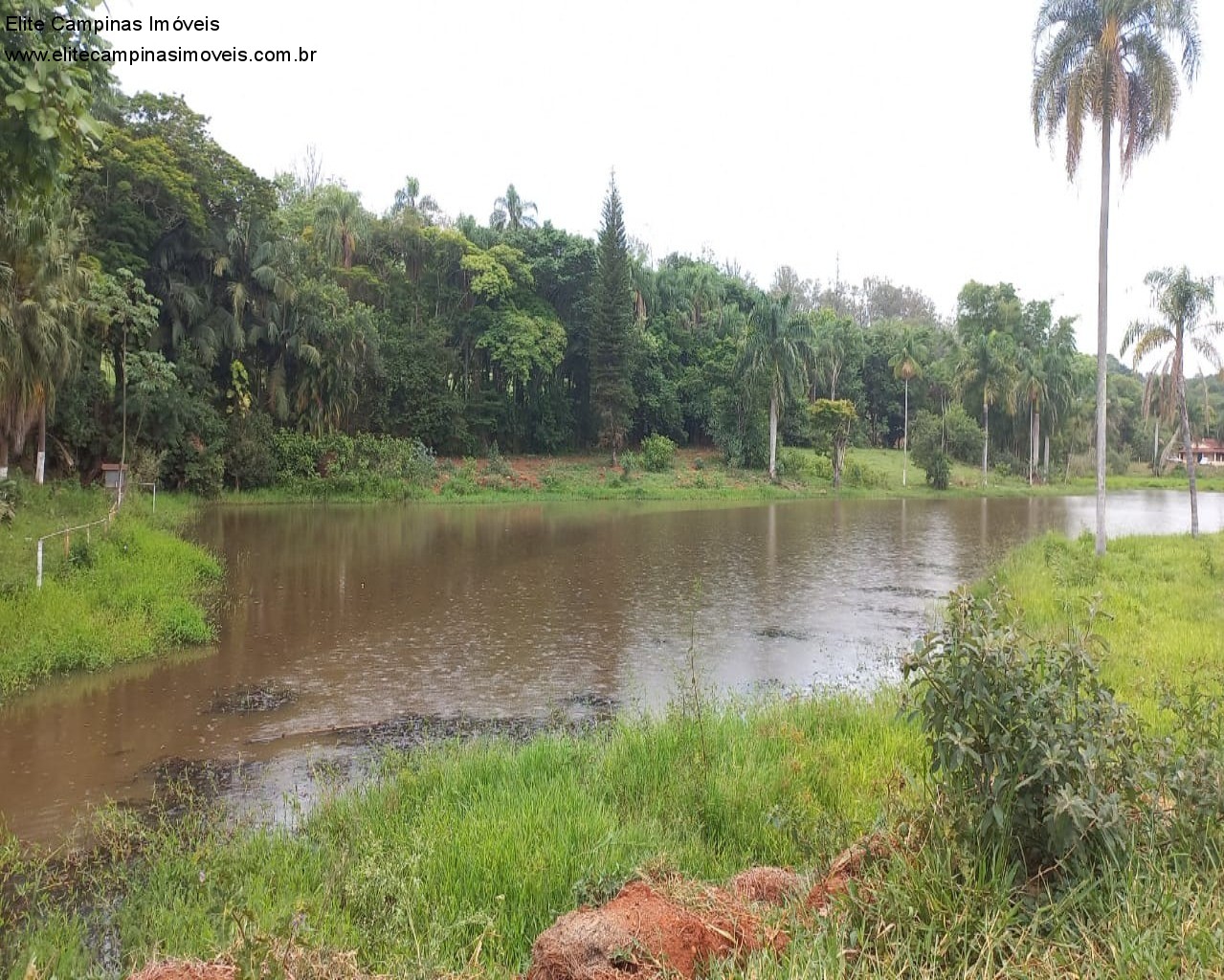 Fazenda à venda, 60000m² - Foto 4