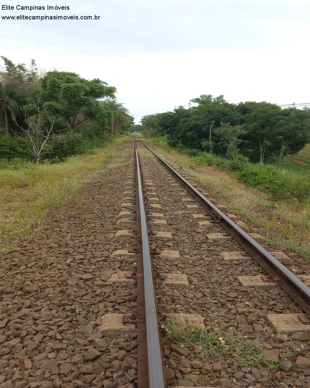 Fazenda à venda, 60000m² - Foto 14