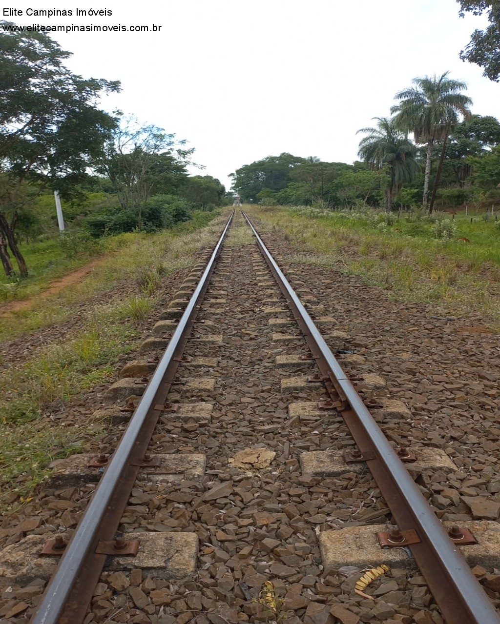 Fazenda à venda, 60000m² - Foto 15