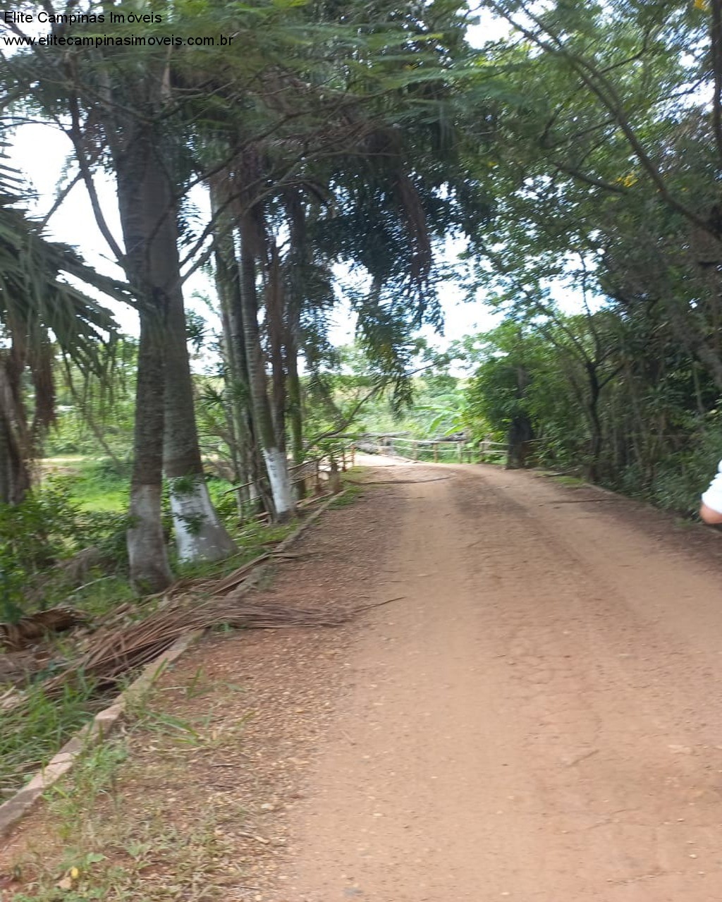 Fazenda à venda, 60000m² - Foto 2