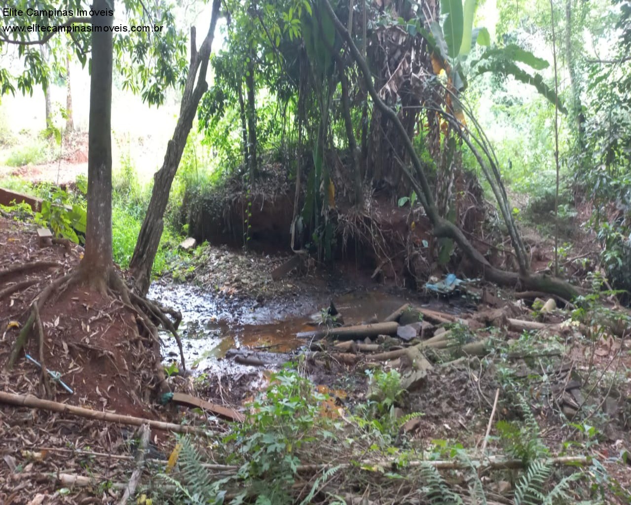 Fazenda à venda, 60000m² - Foto 11