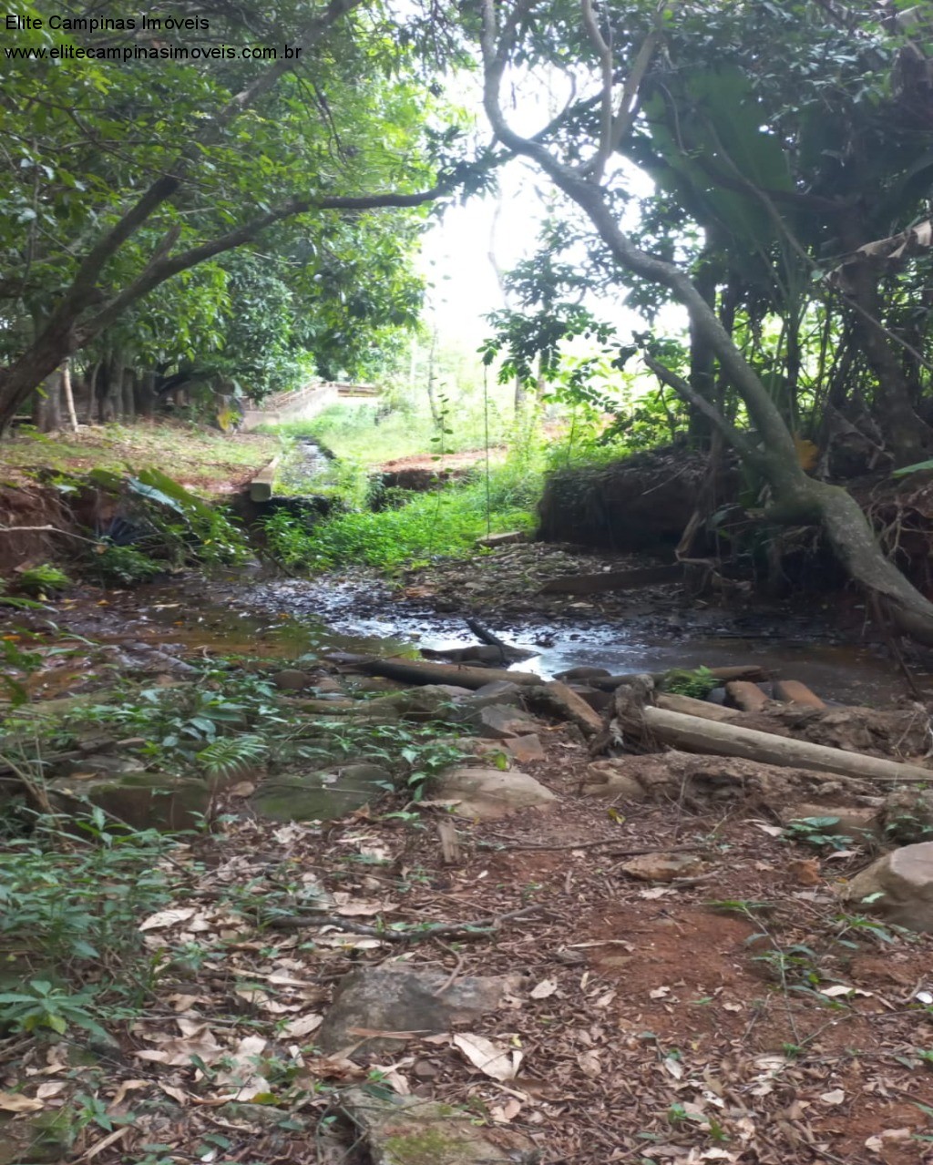 Fazenda à venda, 60000m² - Foto 5