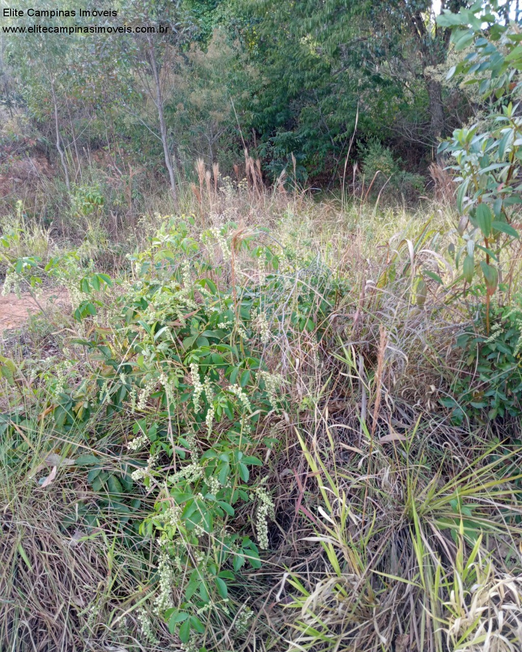 Fazenda à venda, 1800m² - Foto 10