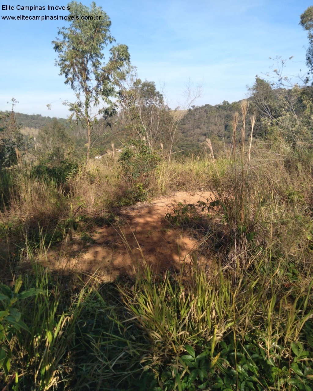 Fazenda à venda, 1800m² - Foto 8