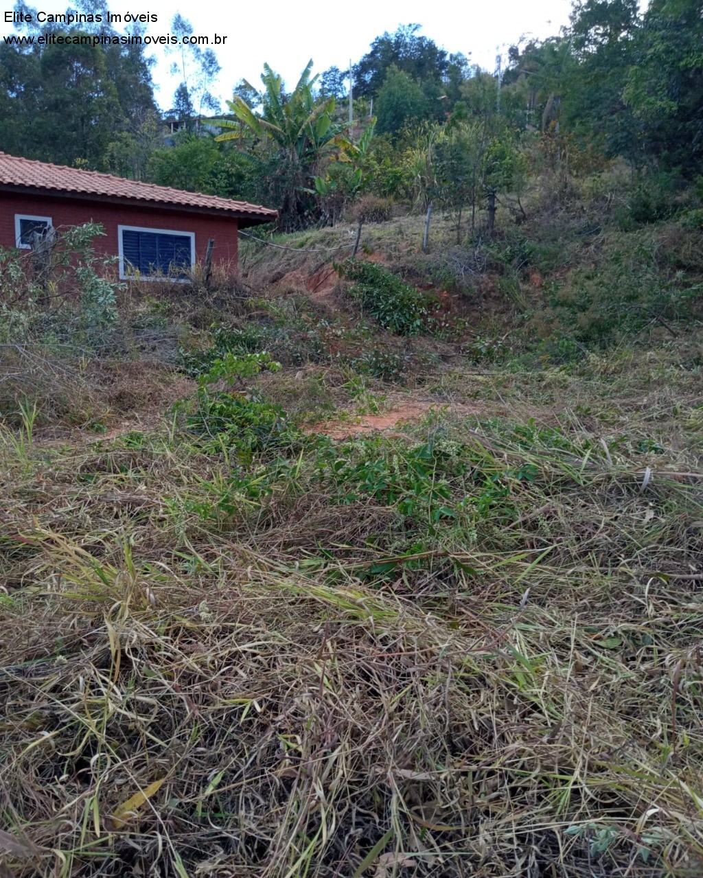 Fazenda à venda, 1800m² - Foto 5