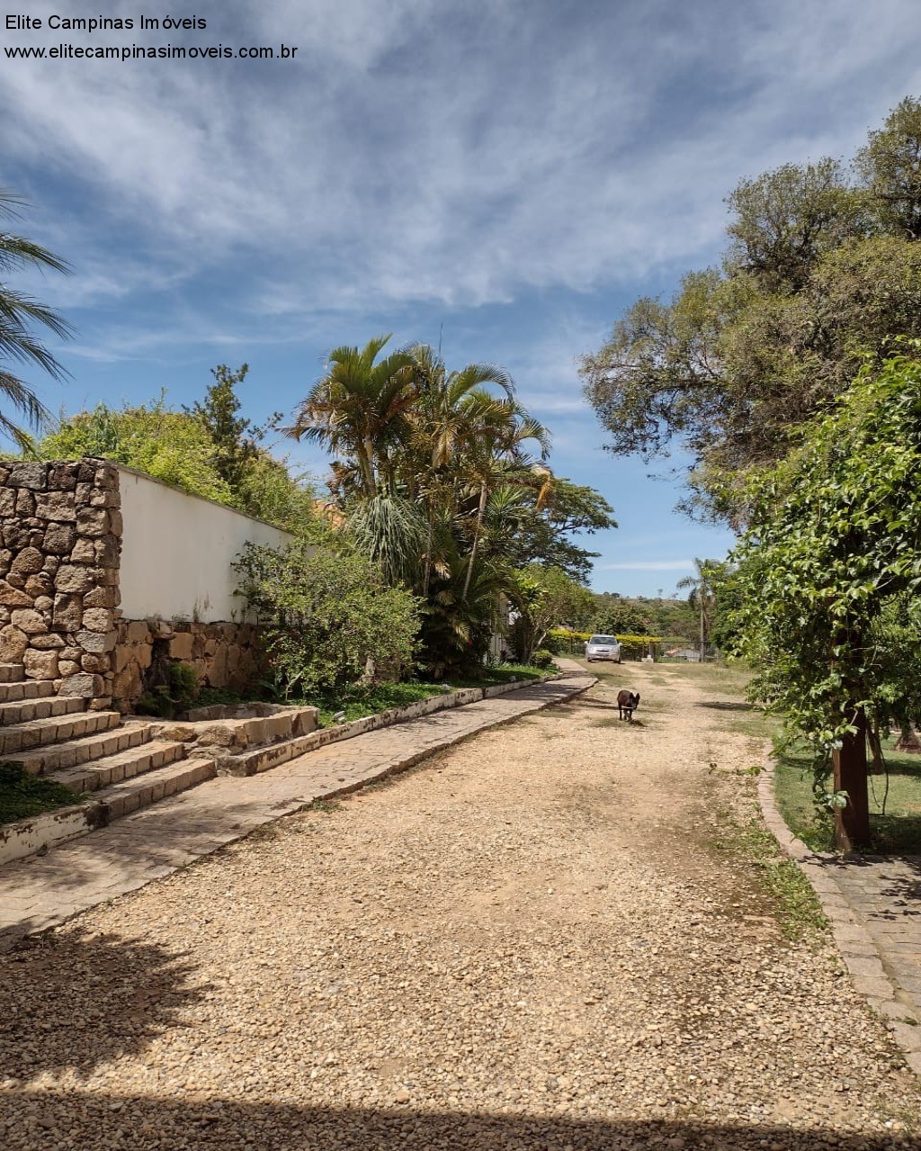 Fazenda à venda, 11m² - Foto 23