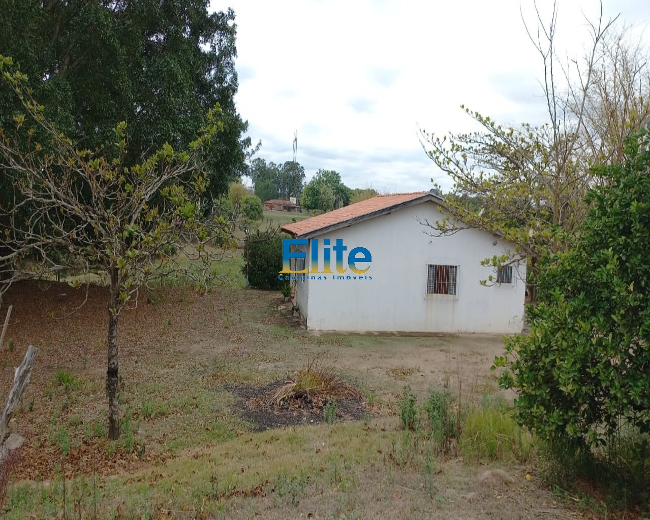 Fazenda à venda com 3 quartos, 19m² - Foto 10