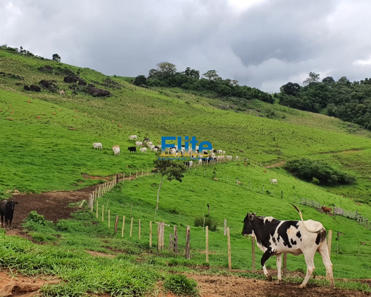 Fazenda à venda com 3 quartos, 60m² - Foto 14