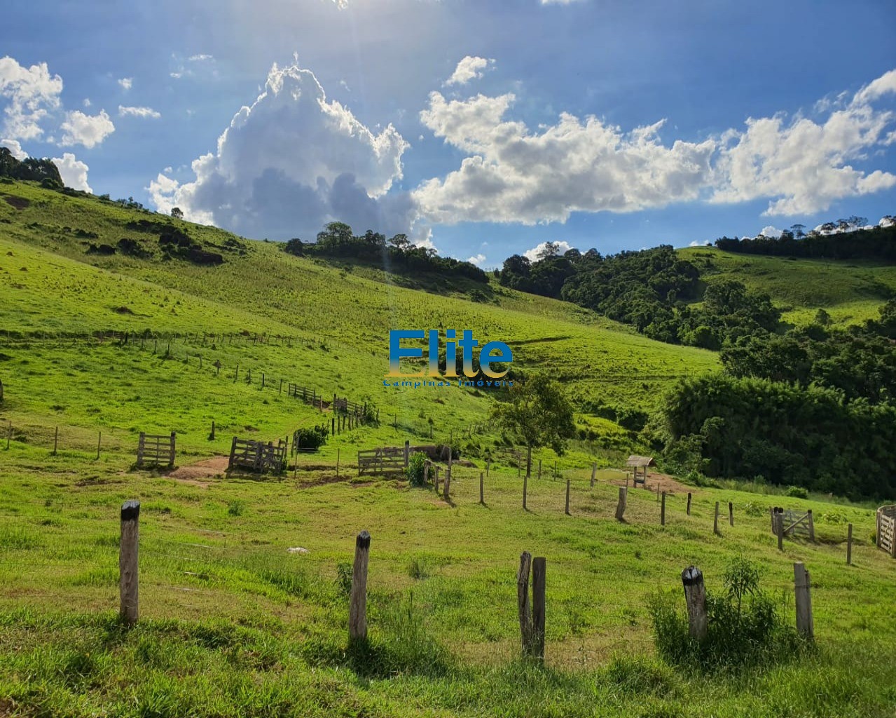 Fazenda à venda com 3 quartos, 60m² - Foto 13