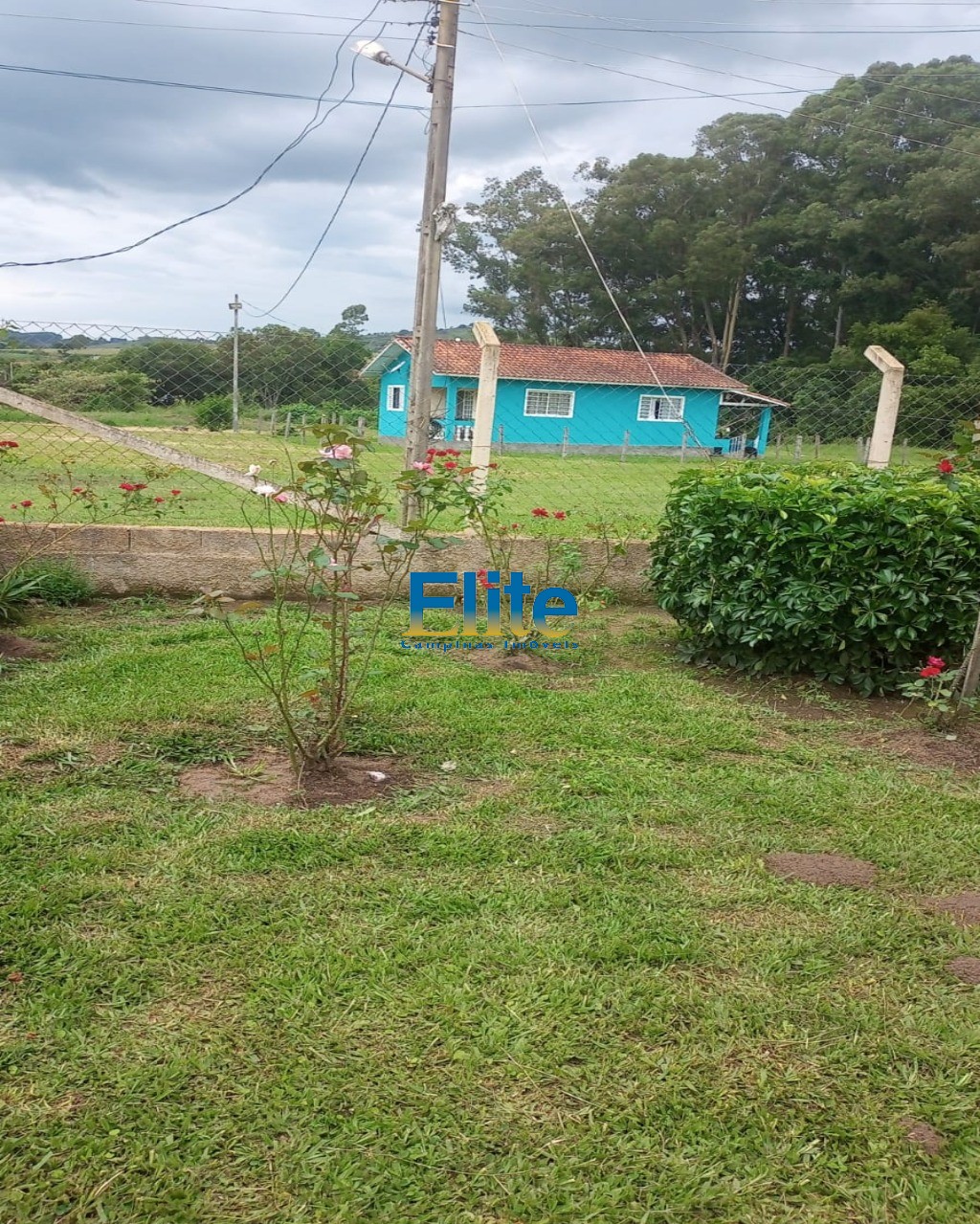 Fazenda à venda com 2 quartos, 12000m² - Foto 12