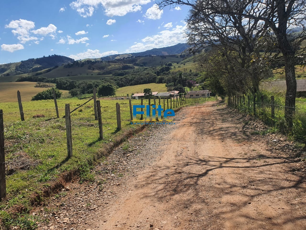 Fazenda à venda com 3 quartos, 9m² - Foto 18