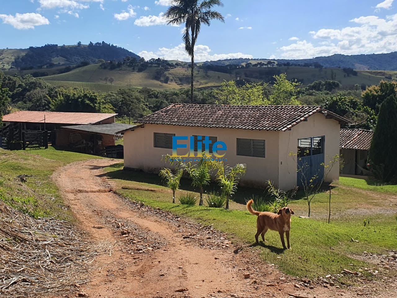 Fazenda à venda com 3 quartos, 9m² - Foto 29