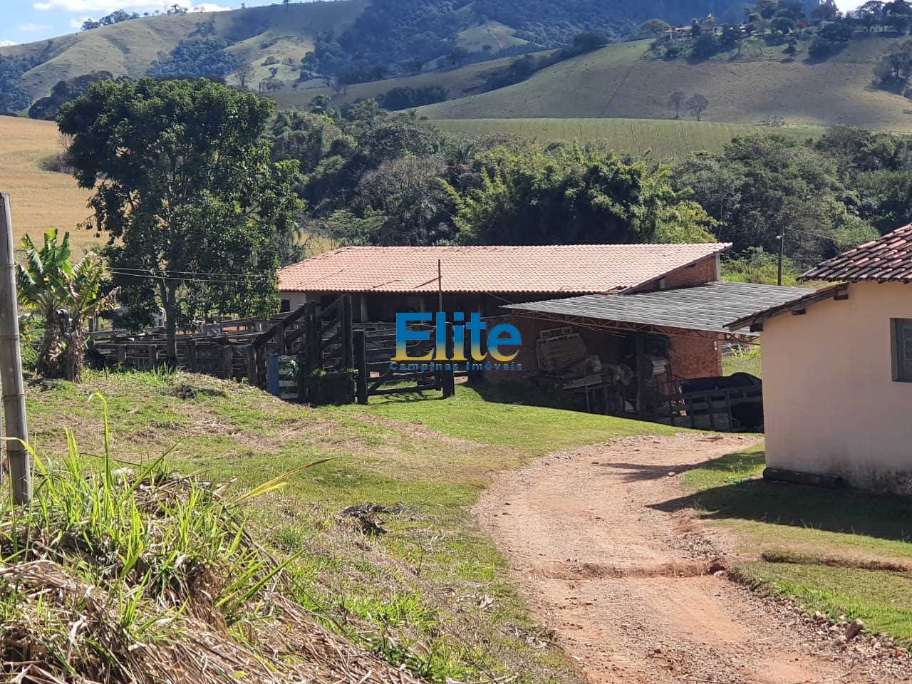 Fazenda à venda com 3 quartos, 9m² - Foto 30