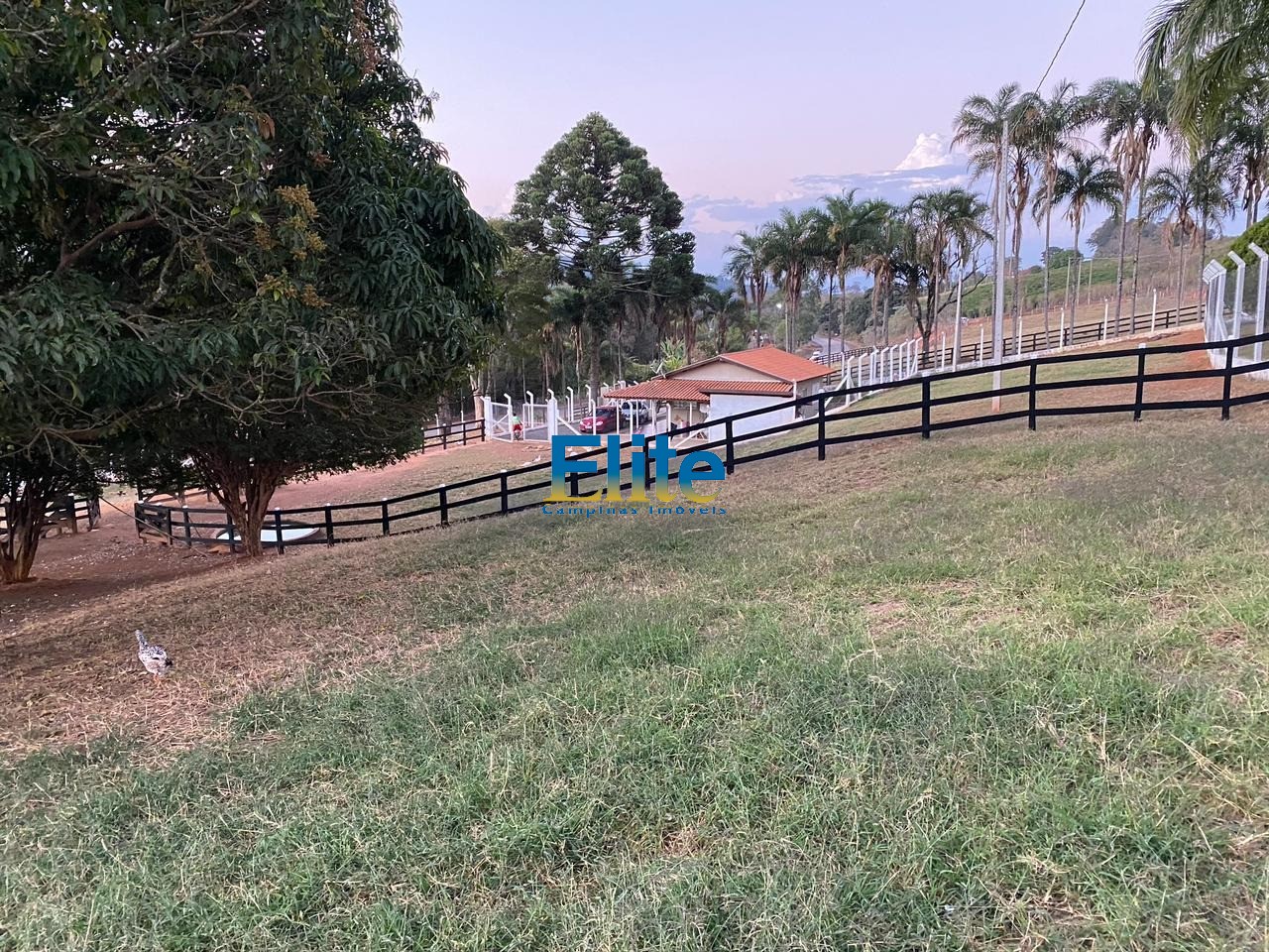 Fazenda à venda com 3 quartos - Foto 6