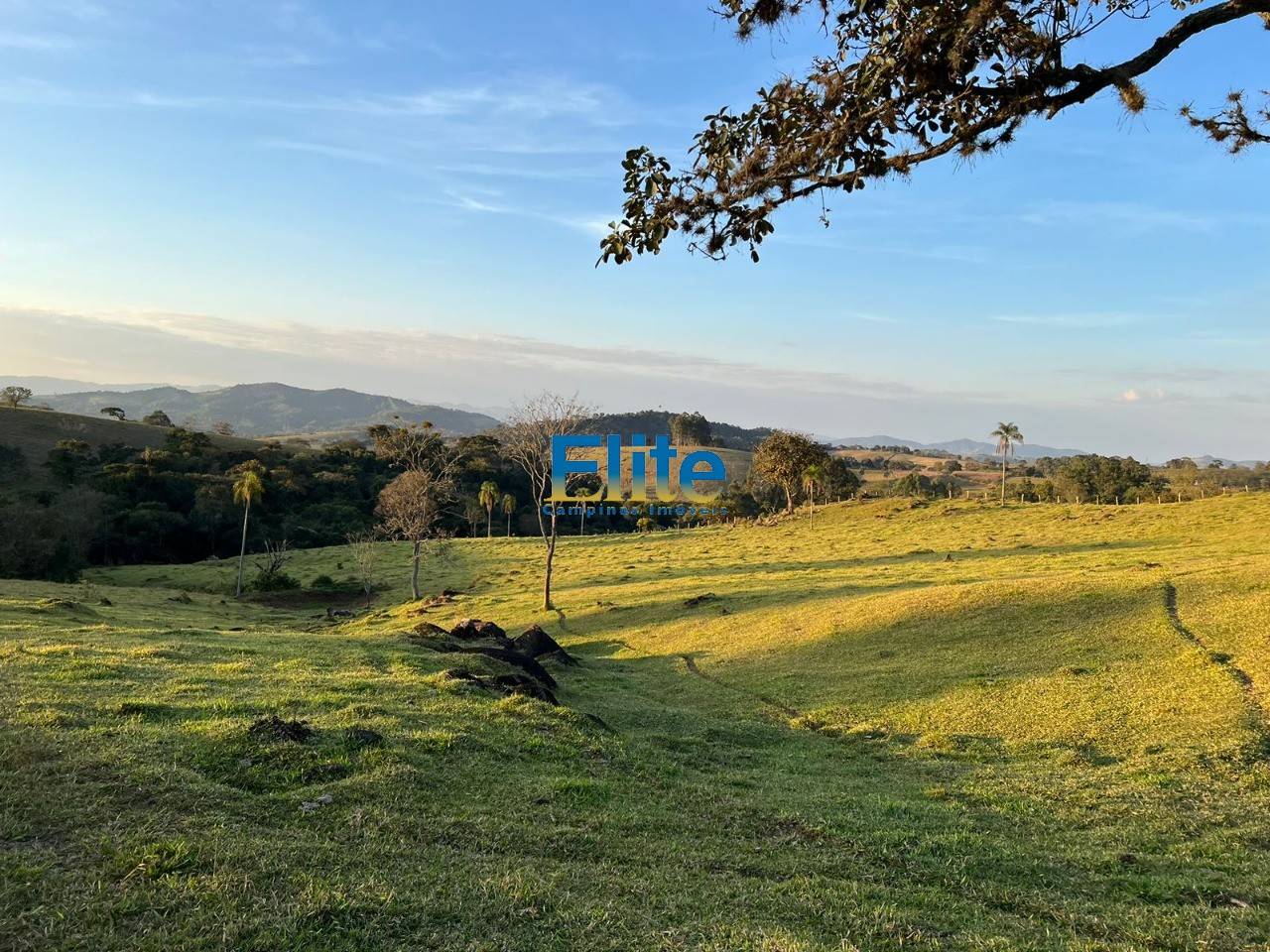 Fazenda à venda com 3 quartos - Foto 12