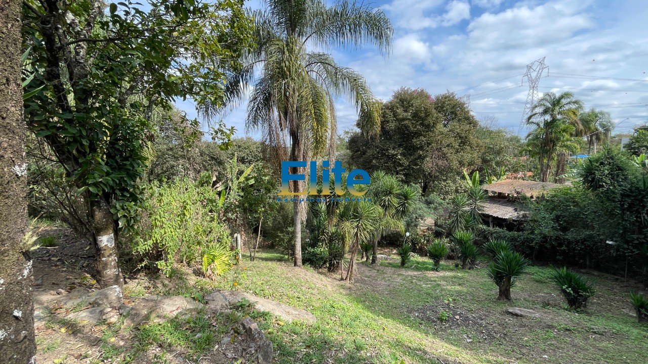 Fazenda à venda com 2 quartos, 1686m² - Foto 52