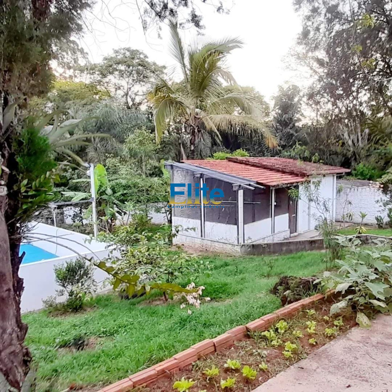 Fazenda à venda com 4 quartos, 2054m² - Foto 31