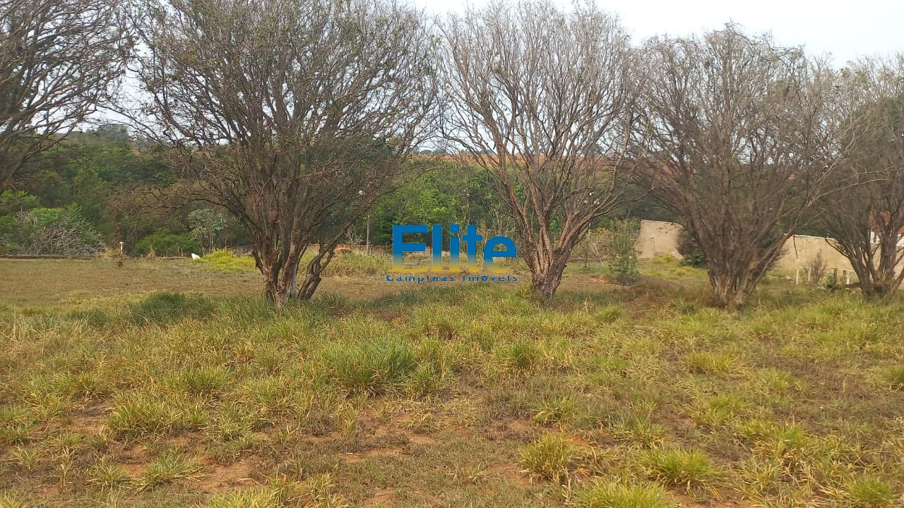 Fazenda à venda com 2 quartos, 6100m² - Foto 8