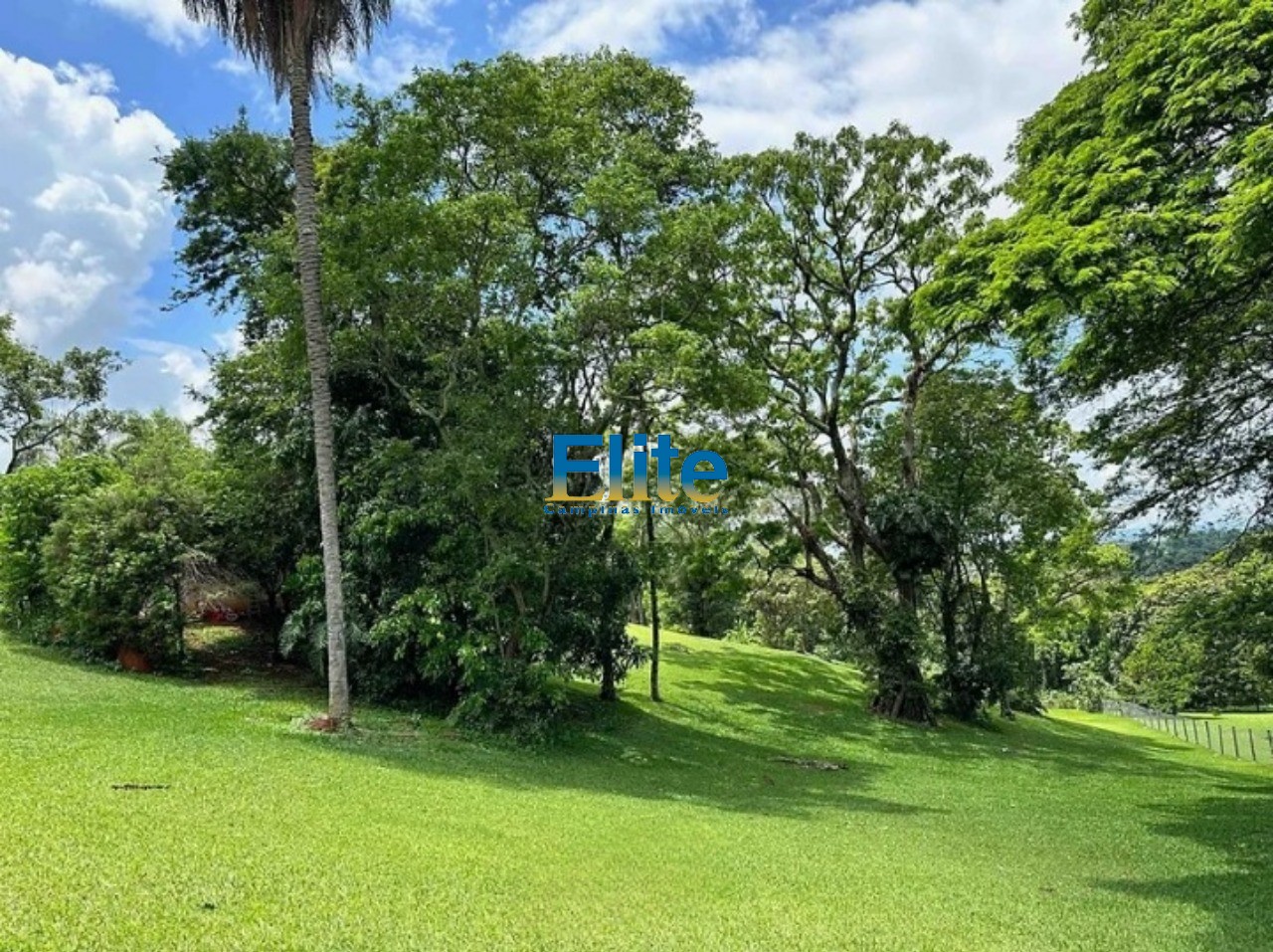 Terreno, 5170 m² - Foto 3