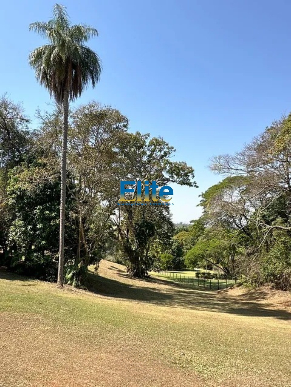 Terreno, 5170 m² - Foto 2