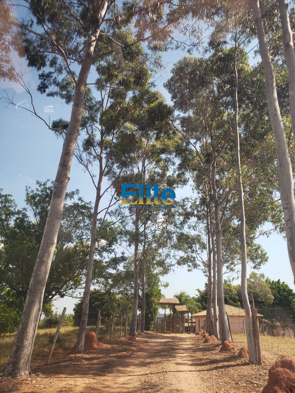 Fazenda à venda - Foto 13
