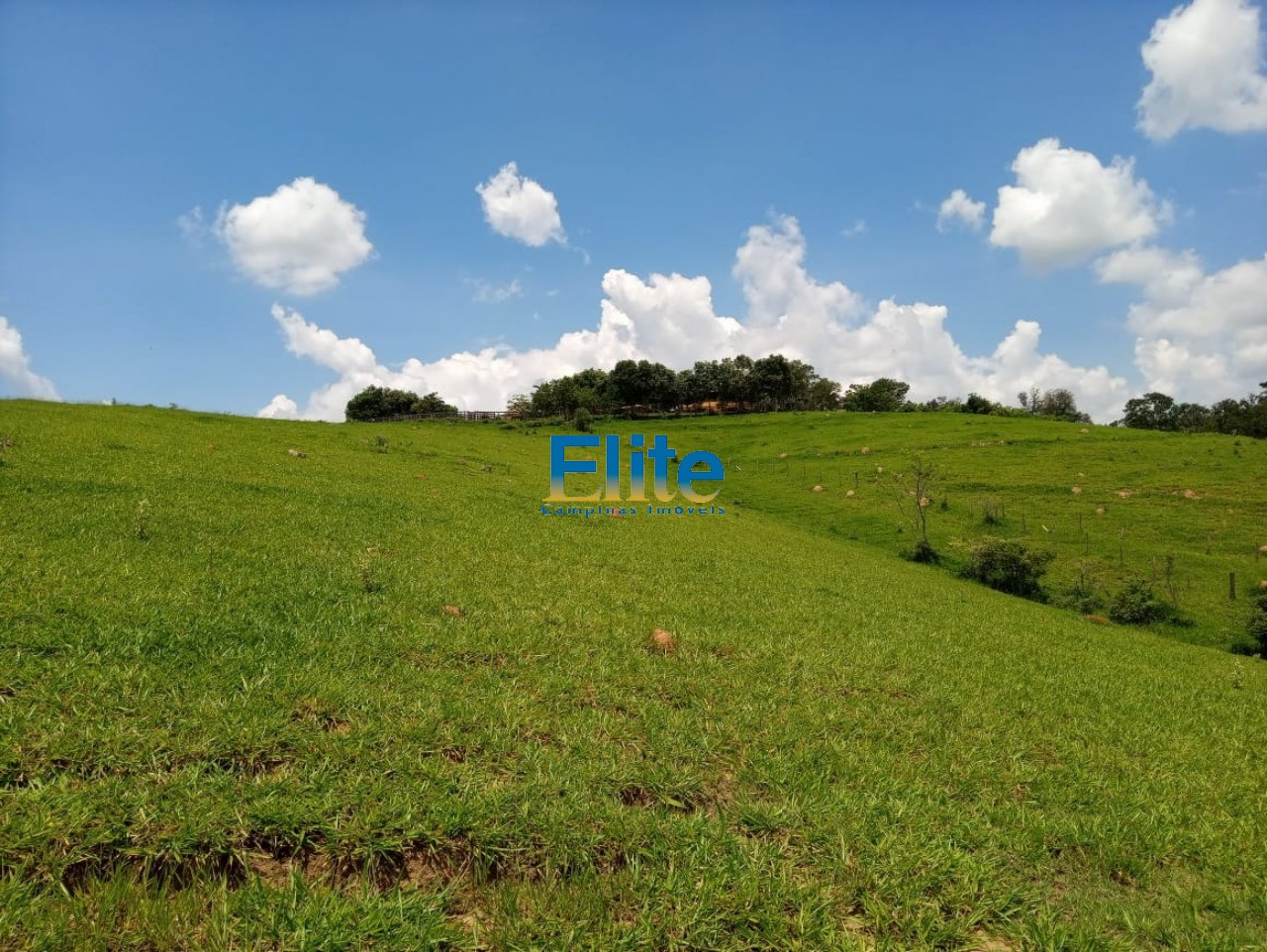 Fazenda à venda - Foto 10