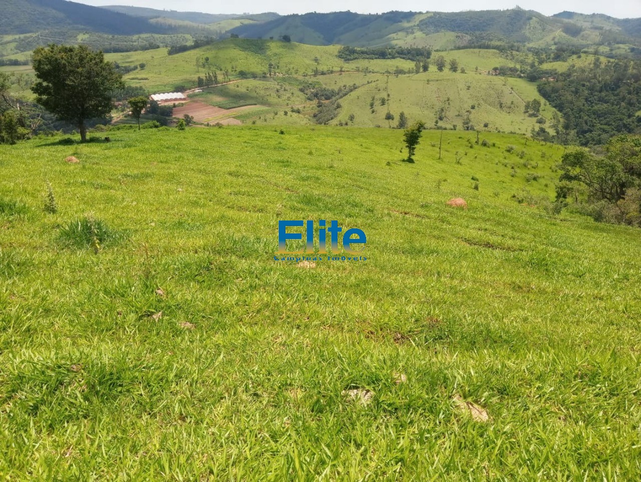 Fazenda à venda - Foto 7