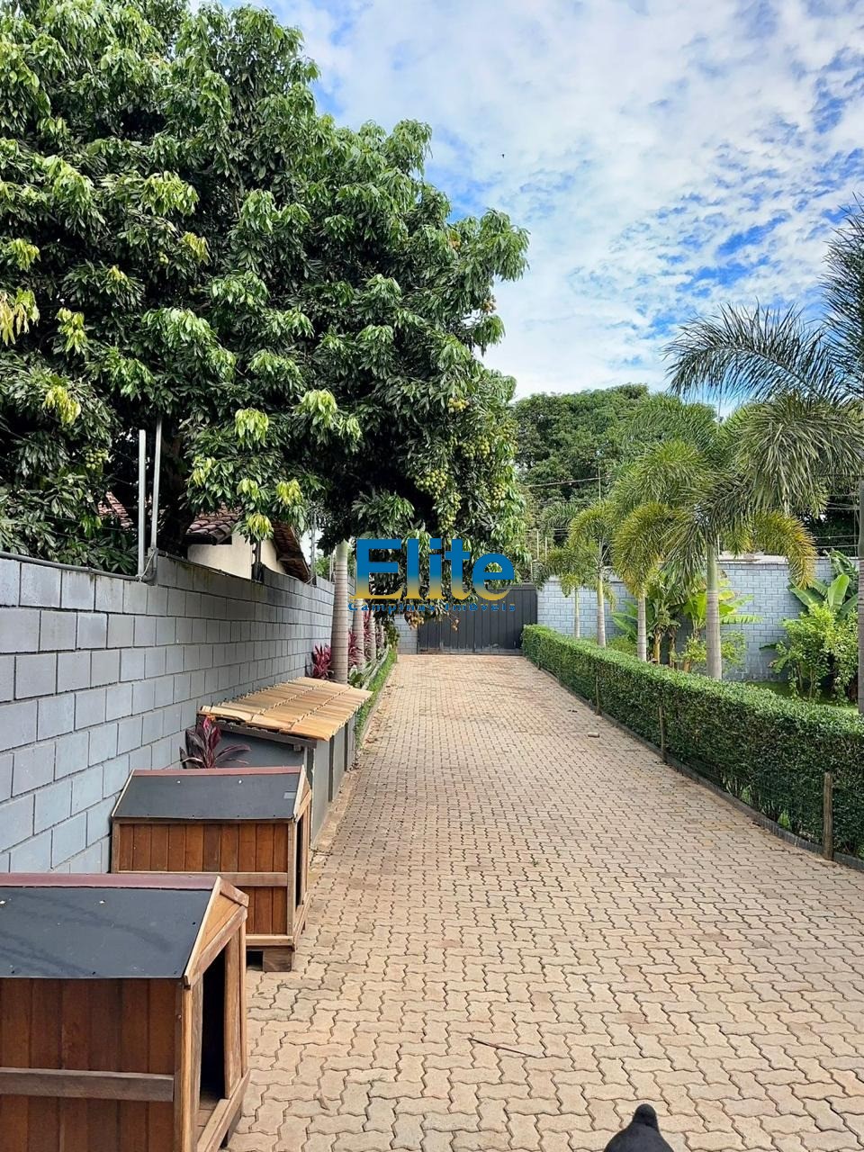 Chácara, 4 quartos, 1000 m² - Foto 18