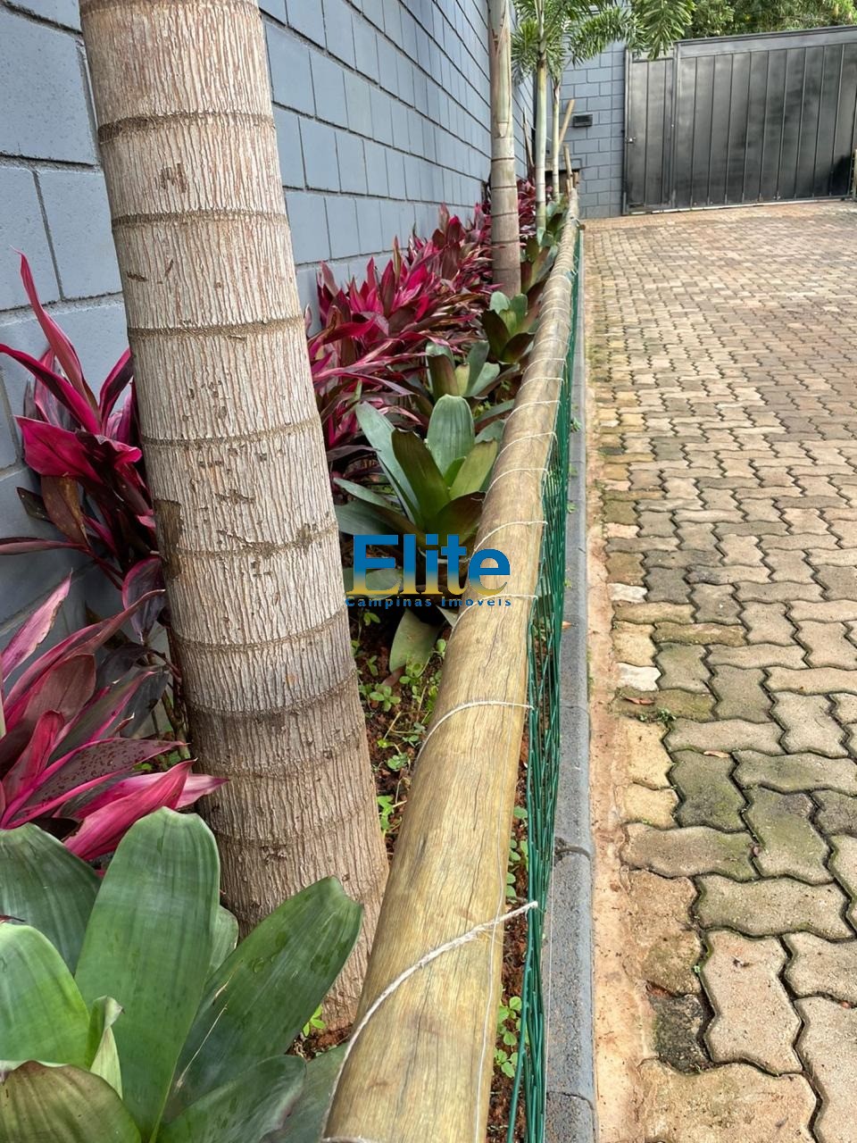 Chácara, 4 quartos, 1000 m² - Foto 19