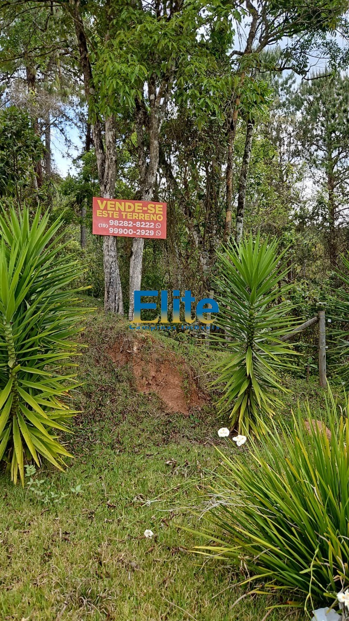 Terreno, 1800 m² - Foto 3