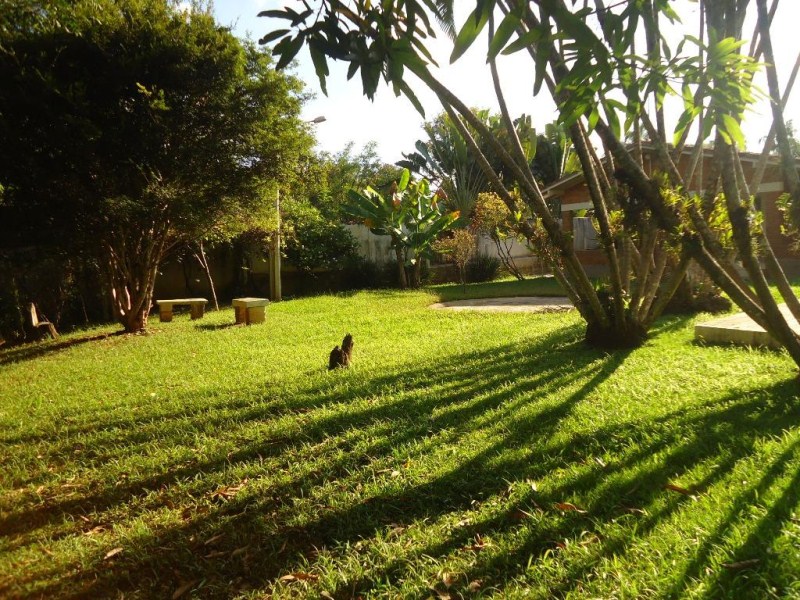 Fazenda à venda com 3 quartos, 2160m² - Foto 8