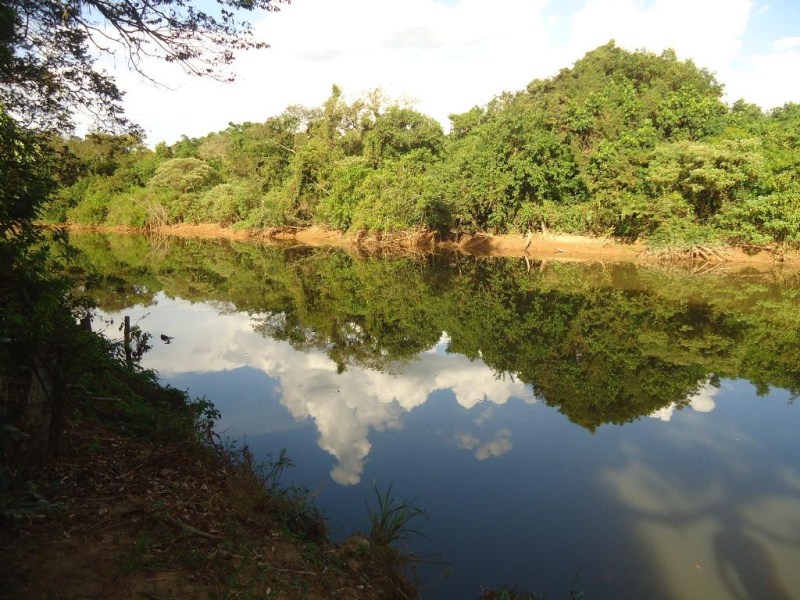 Fazenda à venda com 3 quartos, 2160m² - Foto 41