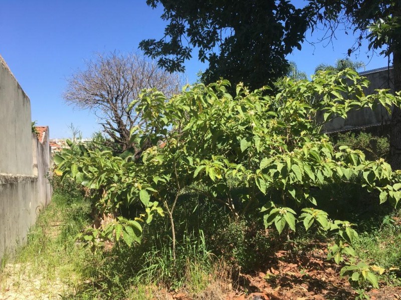 Terreno à venda, 511m² - Foto 6