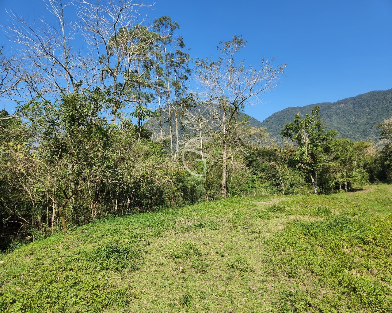 Terreno à venda, 150000m² - Foto 5