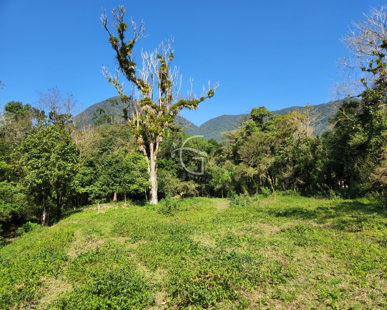 Terreno à venda, 150000m² - Foto 8