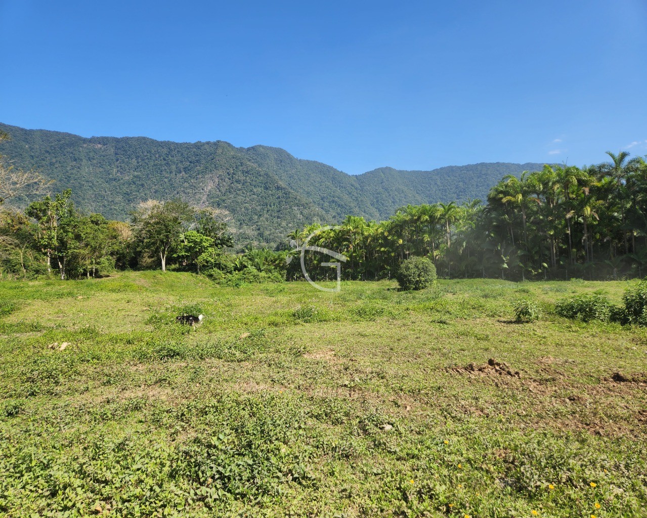 Terreno à venda, 150000m² - Foto 4