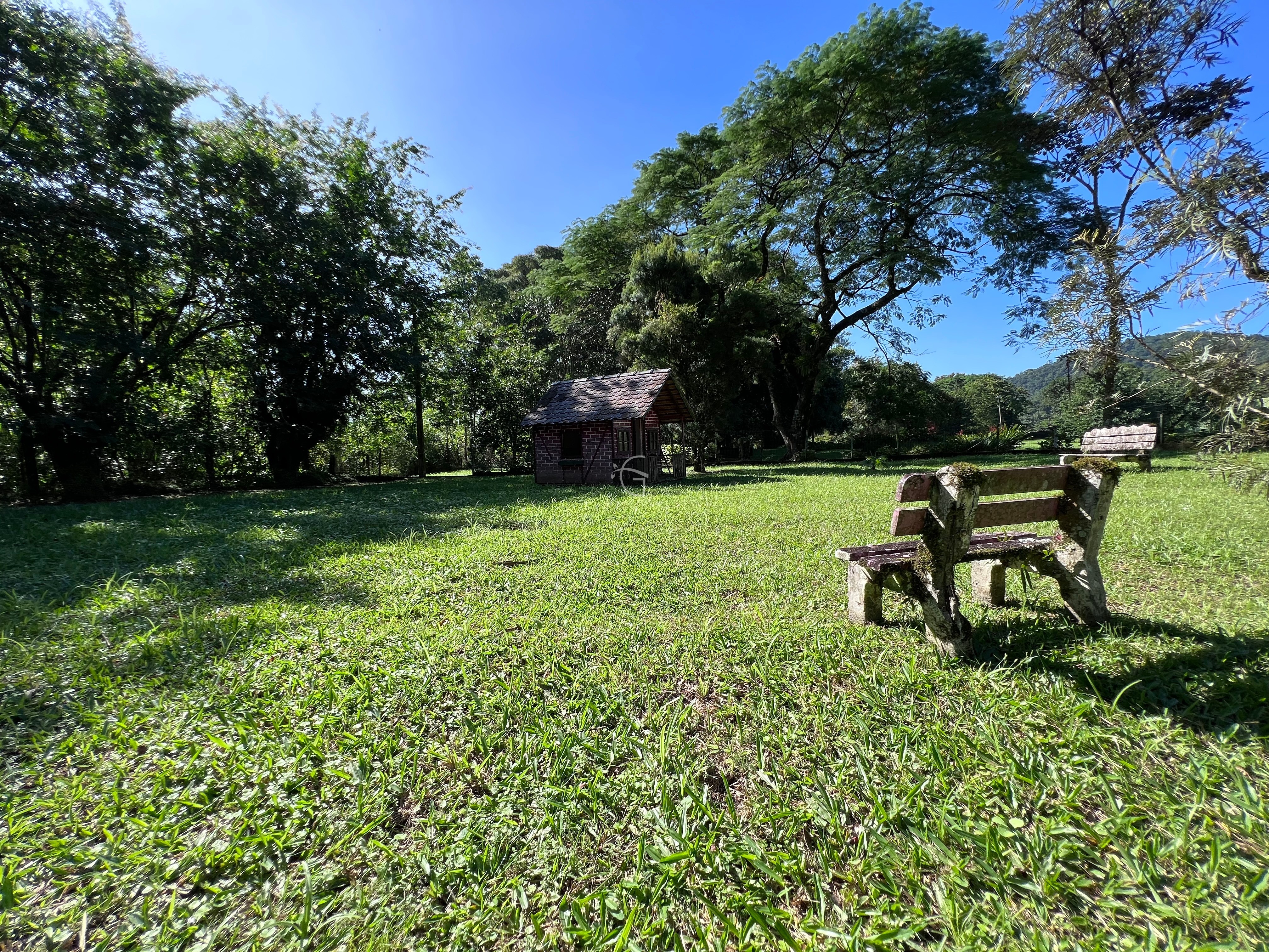 Casa à venda com 4 quartos, 109000m² - Foto 5