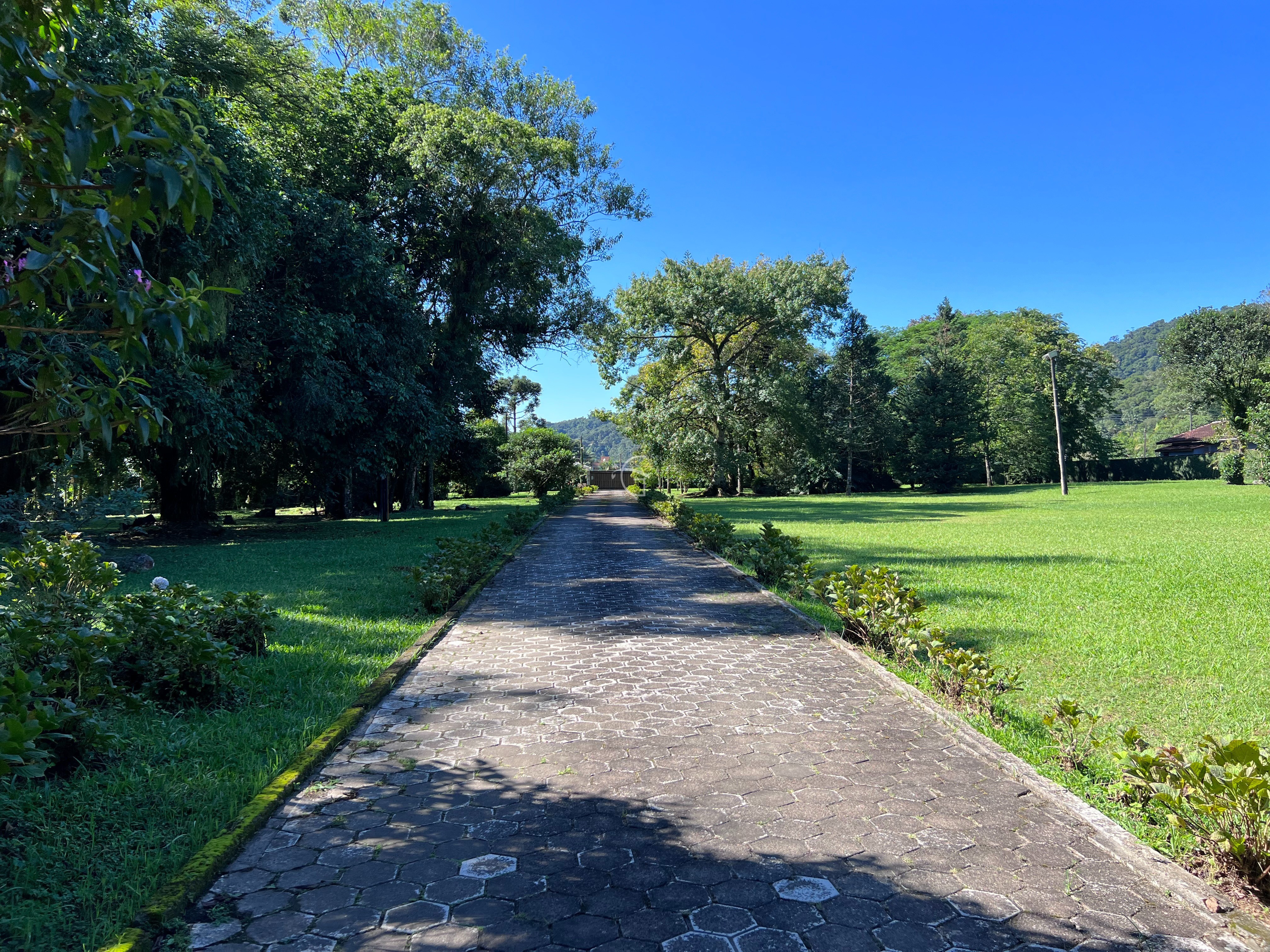 Casa à venda com 4 quartos, 109000m² - Foto 23