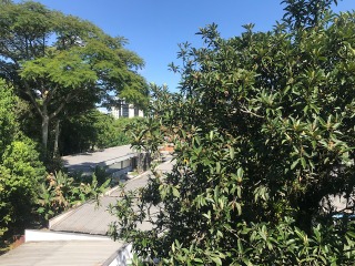 Apartamento, 3 quartos, 140 m² - Foto 3