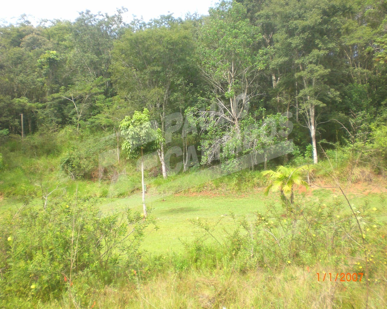 Fazenda à venda com 5 quartos, 300m² - Foto 12