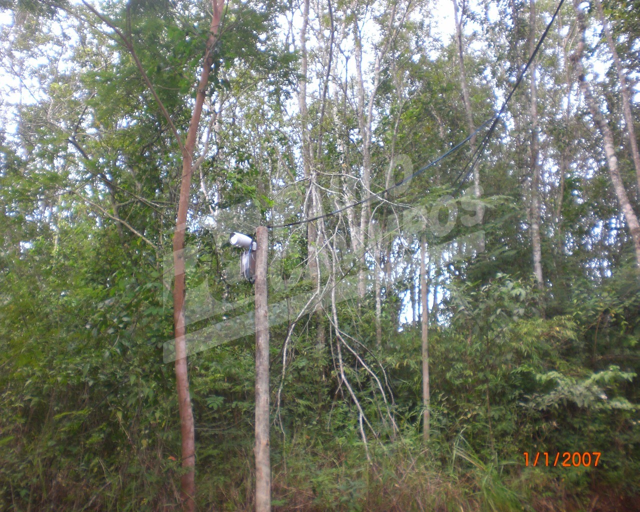 Fazenda à venda com 5 quartos, 300m² - Foto 20