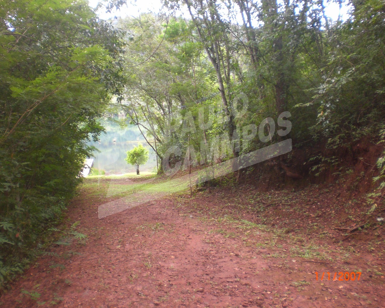 Fazenda à venda com 5 quartos, 300m² - Foto 21