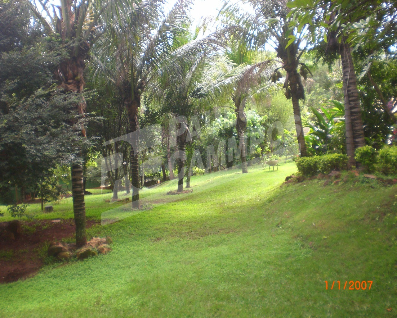 Fazenda à venda com 5 quartos, 300m² - Foto 39