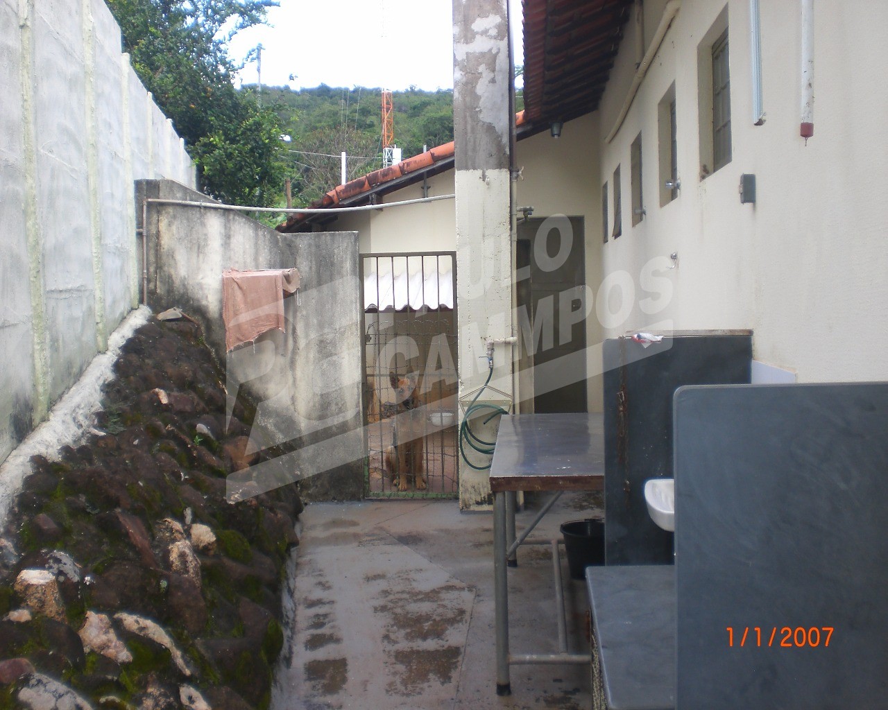 Fazenda à venda com 5 quartos, 300m² - Foto 47