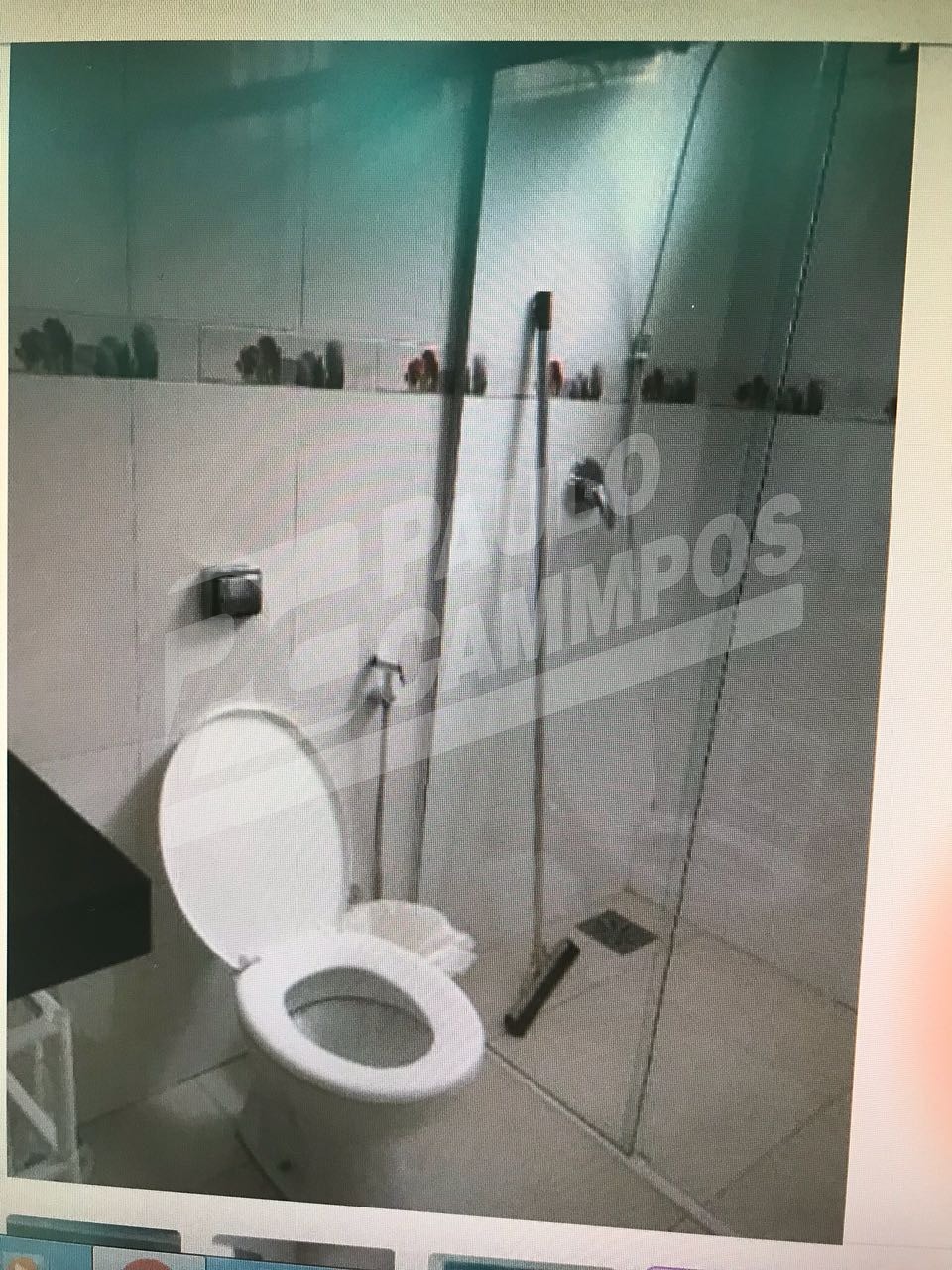 Fazenda à venda com 5 quartos, 500m² - Foto 3