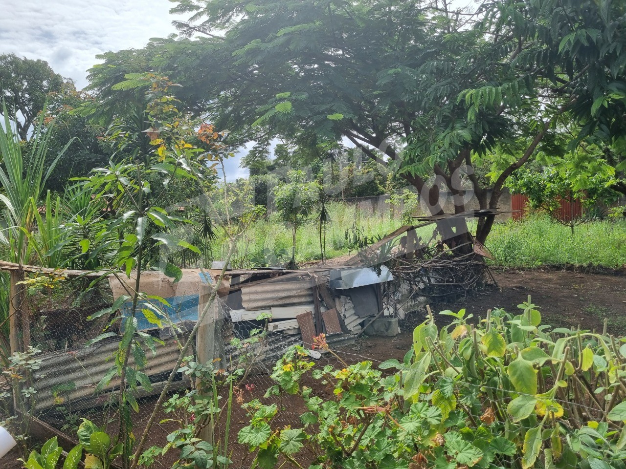 Chácara à venda, 5000m² - Foto 19
